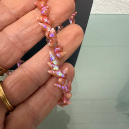 Vintage Tasmanian Aboriginal Maireener Shell Necklace