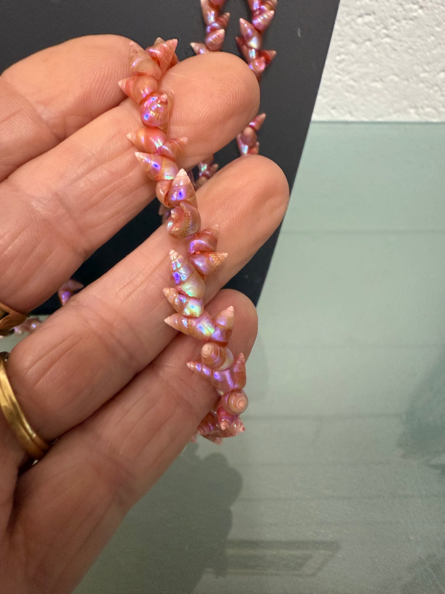 Vintage Tasmanian Aboriginal Maireener Shell Necklace