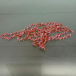 Vintage Tasmanian Aboriginal Maireener Shell Necklace