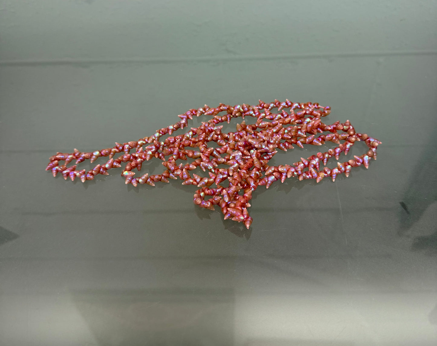 Vintage Tasmanian Aboriginal Maireener Shell Necklace