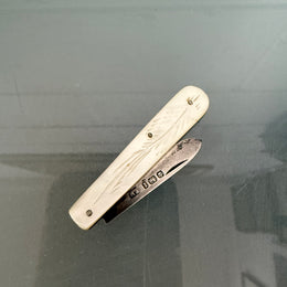 Edwardian Mother Of Pearl & Silver Fruit Knife