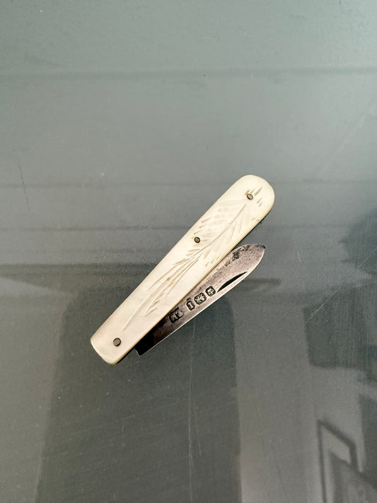 Edwardian Mother Of Pearl & Silver Fruit Knife