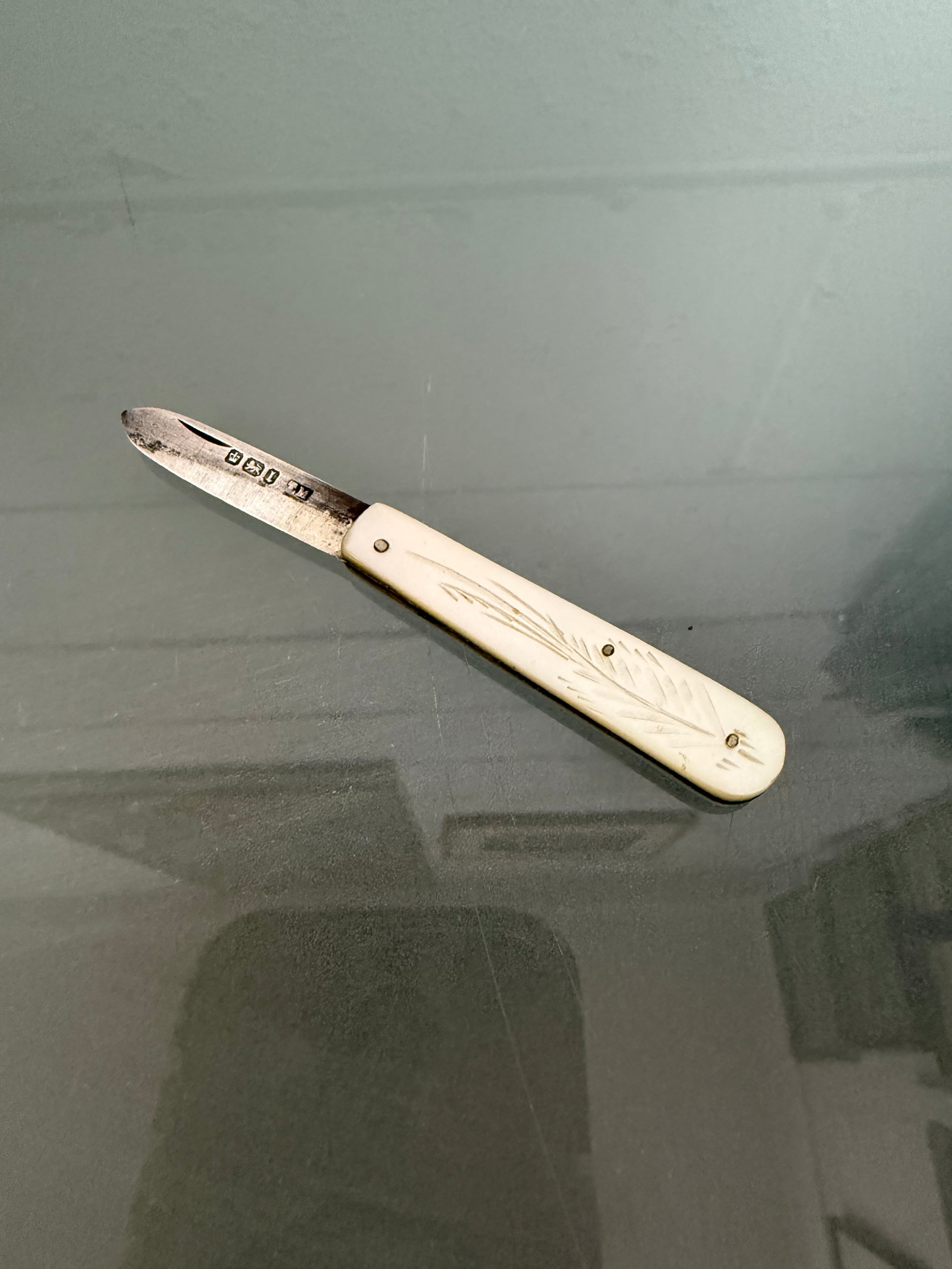 Edwardian Mother Of Pearl & Silver Fruit Knife | Antique & Vintage | Moonee Ponds Antiques | Australia Wide Delivery