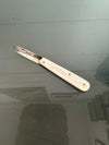 Edwardian Mother Of Pearl & Silver Fruit Knife | Antique & Vintage | Moonee Ponds Antiques | Australia Wide Delivery