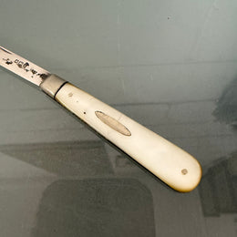 Edwardian Silver & Mother Of Pearl Fruit Knife