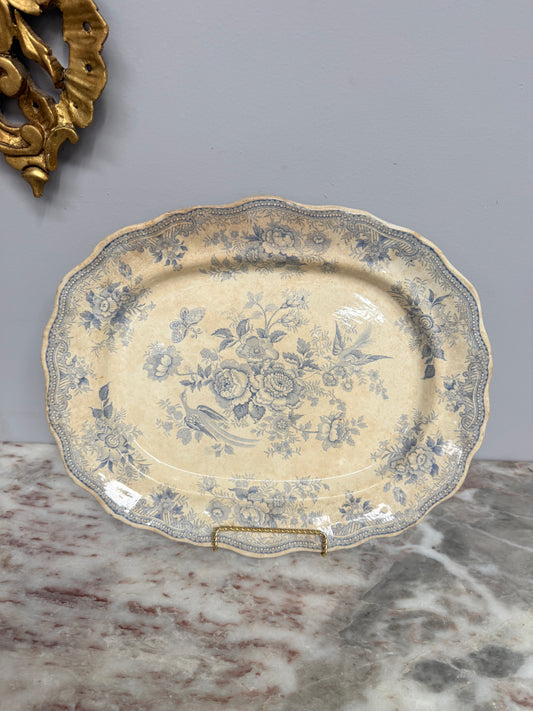 Victorian Asiatic Pheasant Meat Plate
