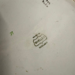 Antique Shelley Art Deco Chine Jardinière