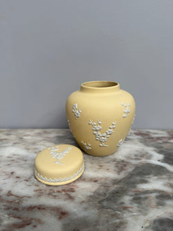 Rare Wedgwood Primrose Yellow Jasperware Ginger Jar Moonee Ponds Antiques