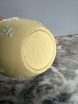 Rare Wedgwood Primrose Yellow Jasperware Ginger Jar Moonee Ponds Antiques