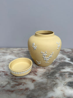 Rare Wedgwood Primrose Yellow Jasperware Ginger Jar Moonee Ponds Antiques