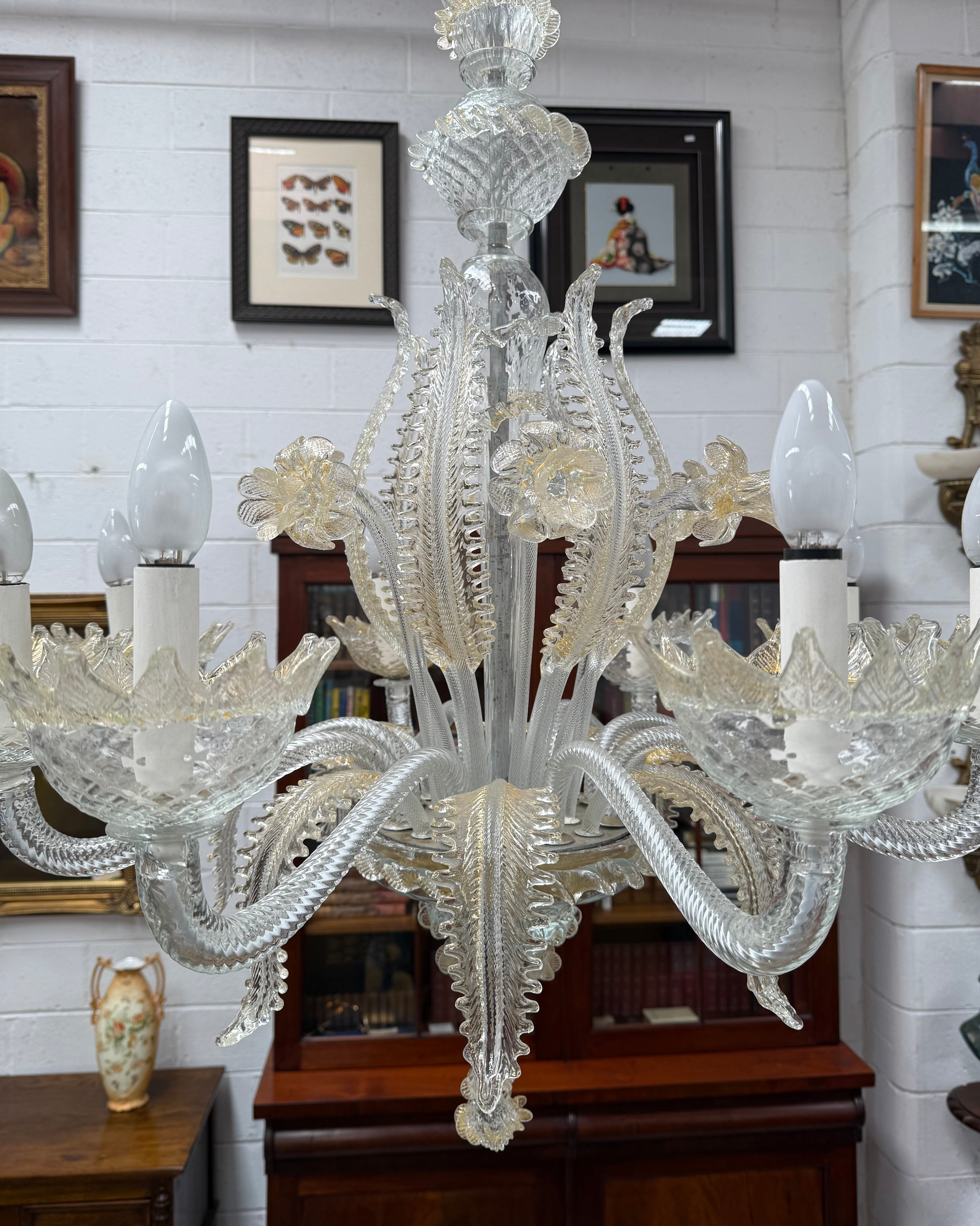 Magnificent Champagne Italian Murano Chandelier | Antique & Vintage | Moonee Ponds Antiques | Australia Wide