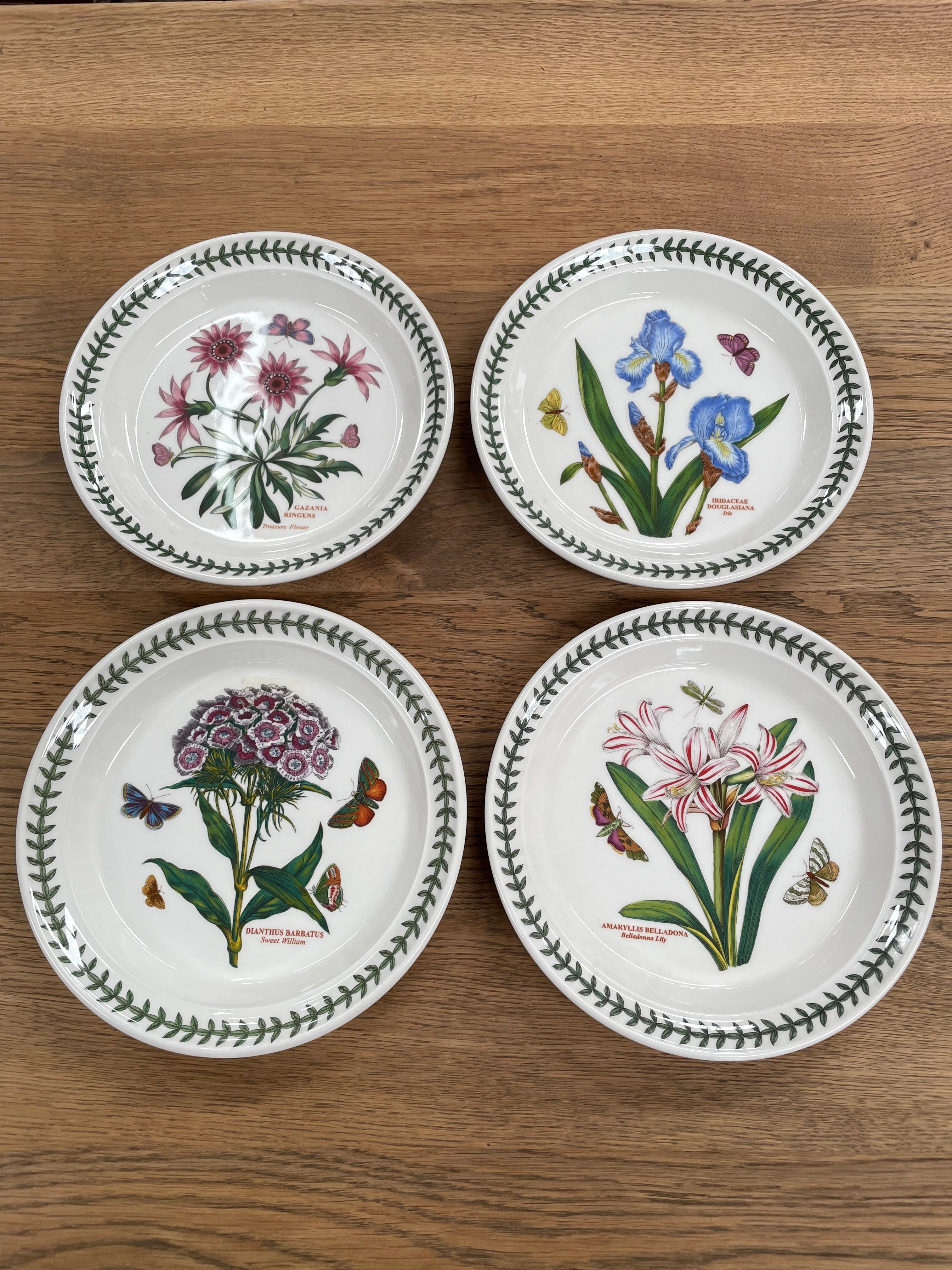 16 Piece Portmeirion "Botanic Garden" Dinner Set | Antique & Vintage | Moonee Ponds Antiques | Australia Wide Delivery