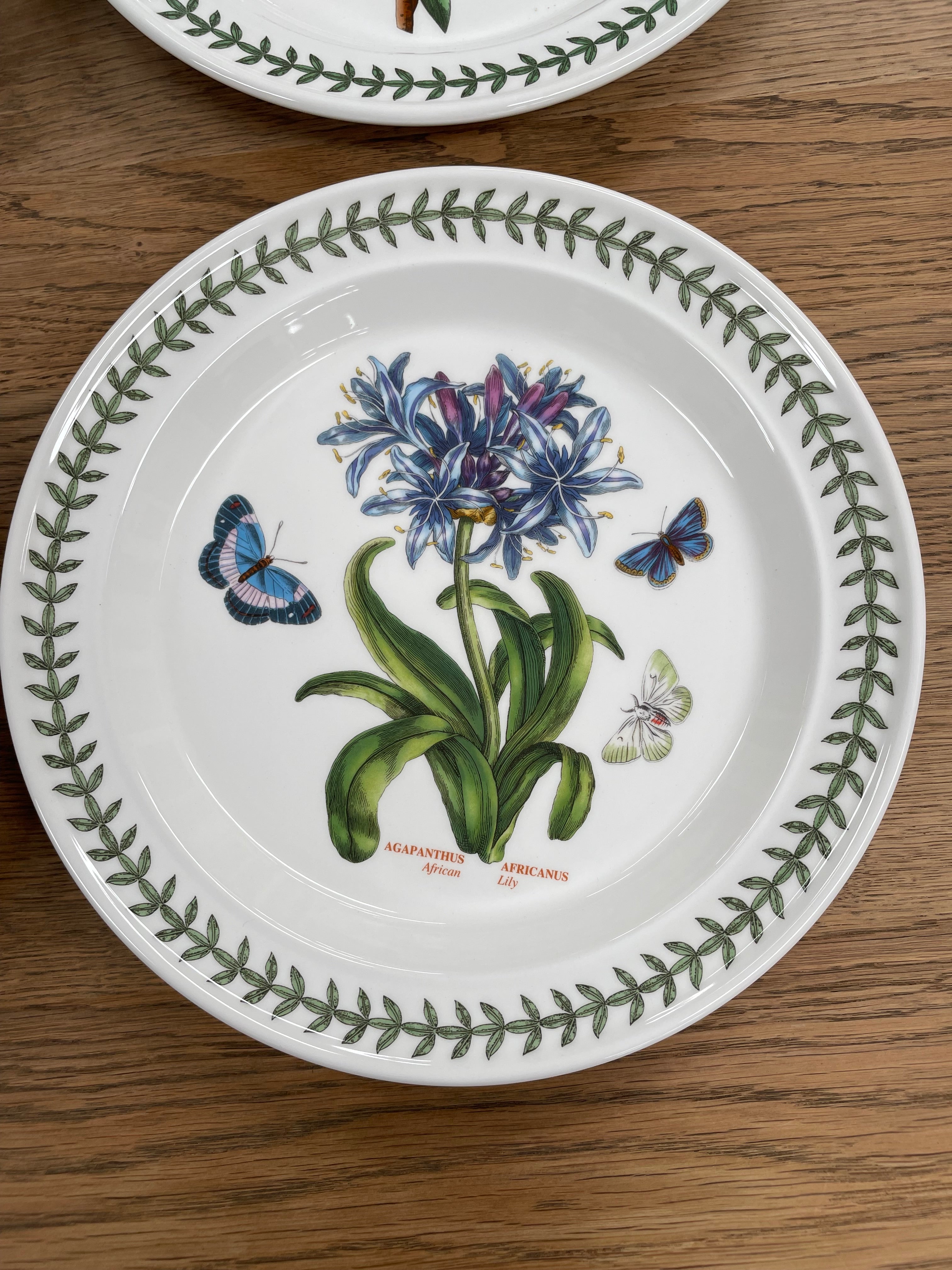 16 Piece Portmeirion "Botanic Garden" Dinner Set | Antique & Vintage | Moonee Ponds Antiques | Australia Wide Delivery