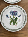 16 Piece Portmeirion "Botanic Garden" Dinner Set | Antique & Vintage | Moonee Ponds Antiques | Australia Wide Delivery