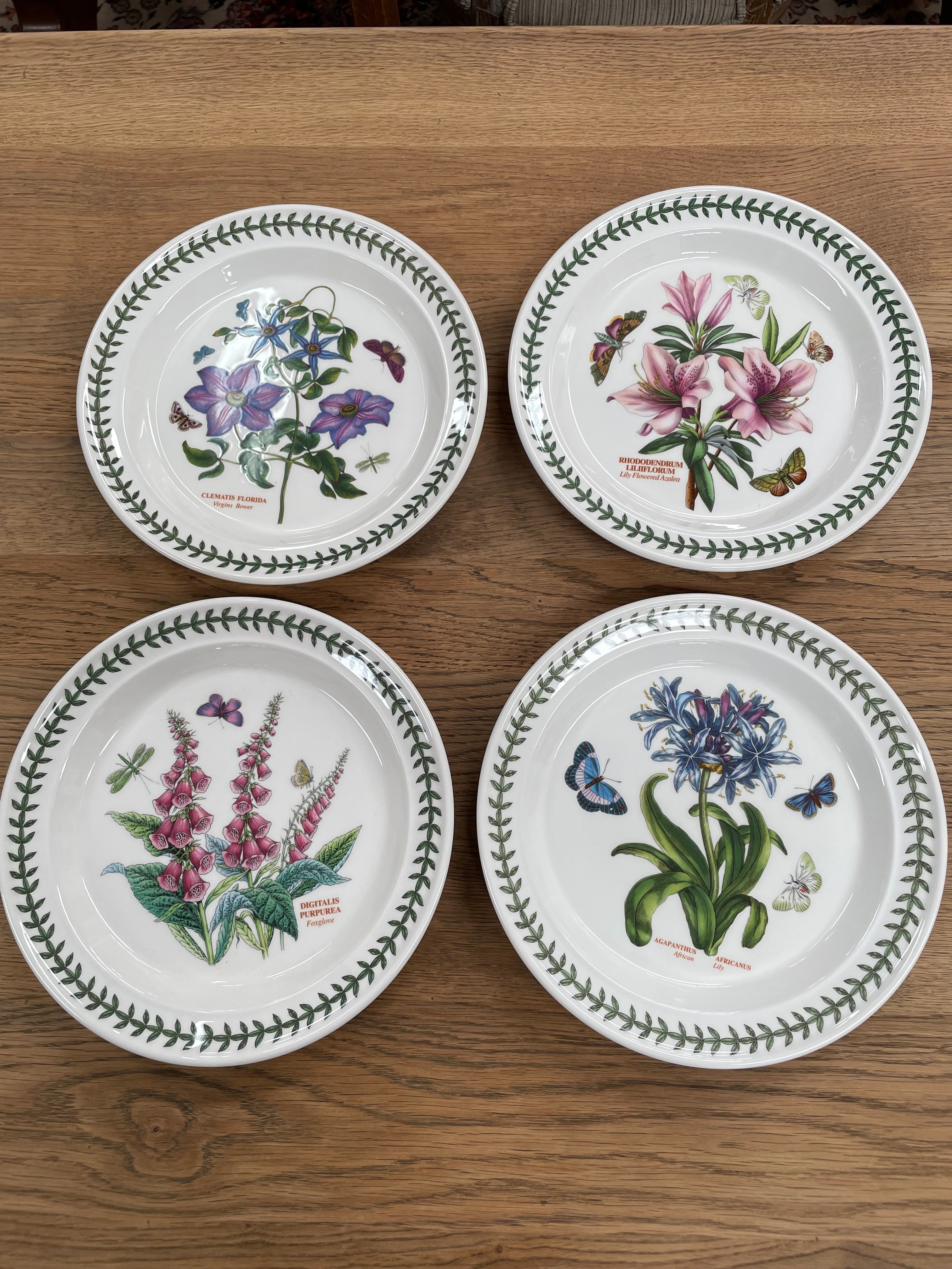 16 Piece Portmeirion "Botanic Garden" Dinner Set | Antique & Vintage | Moonee Ponds Antiques | Australia Wide Delivery