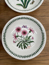 16 Piece Portmeirion "Botanic Garden" Dinner Set | Antique & Vintage | Moonee Ponds Antiques | Australia Wide Delivery