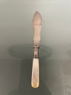 Antique Mother of Pearl & EPNS Butter Knife | Antique & Vintage | Moonee Ponds Antiques | Australia Wide Delivery