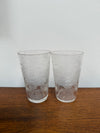 Pair Acid Etched Antique Drinking Glasses | Antique & Vintage | Moonee Ponds Antiques | Australia Wide Delivery