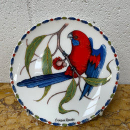 Attractive Display Plate Featuring a Parrot