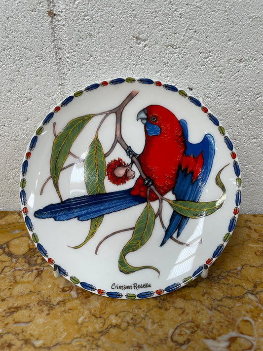 Attractive Display Plate Featuring a Parrot