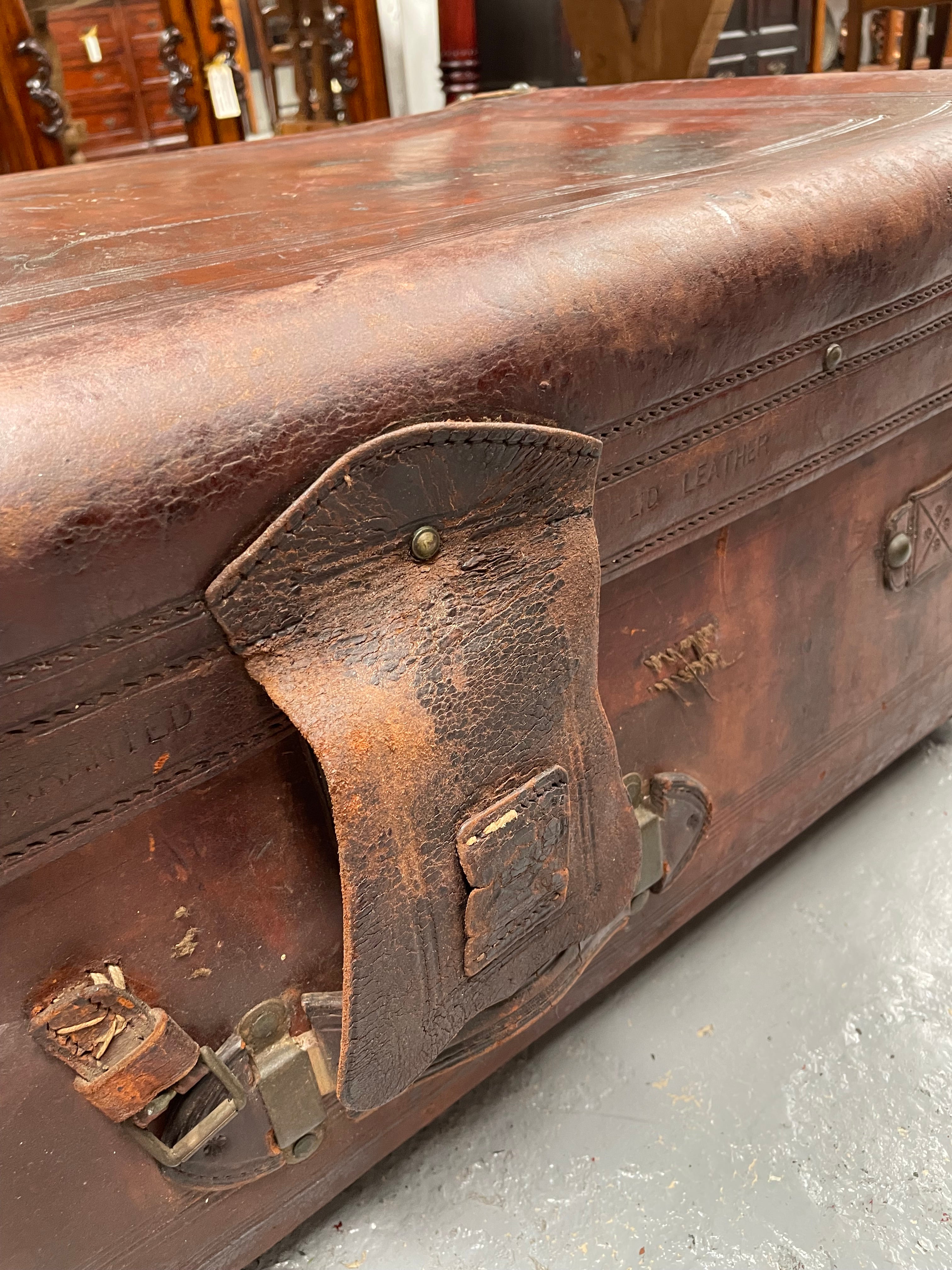 Impressive Victorian Leather Trunk Made for Buckley & Nunn Melbourne | Antique & Vintage | Moonee Ponds Antiques | Australia Wide Delivery