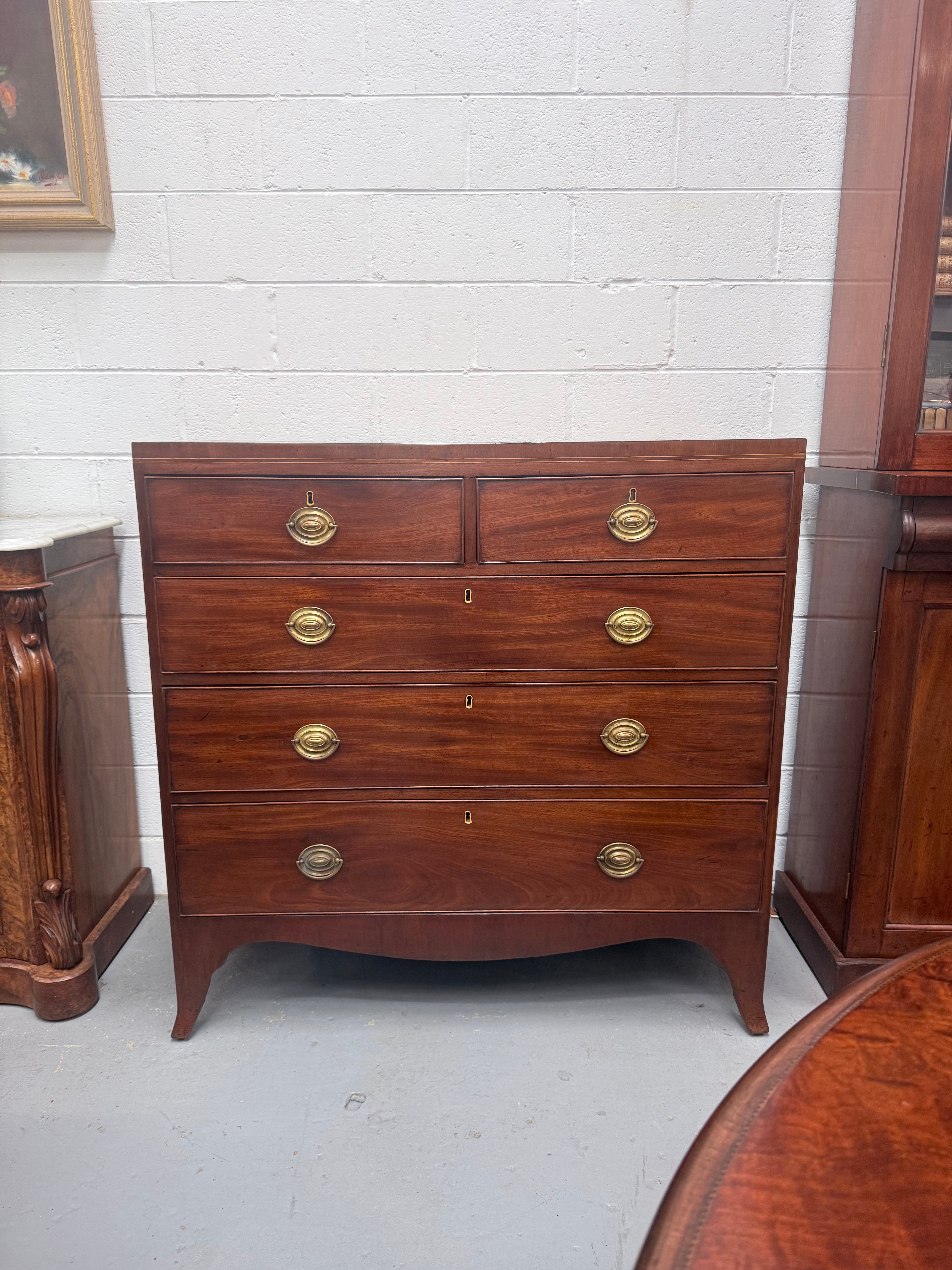 Antique Mahogany Regency Georgian Chest of Five Drawers