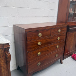 Antique Mahogany Regency Georgian Chest of Five Drawers