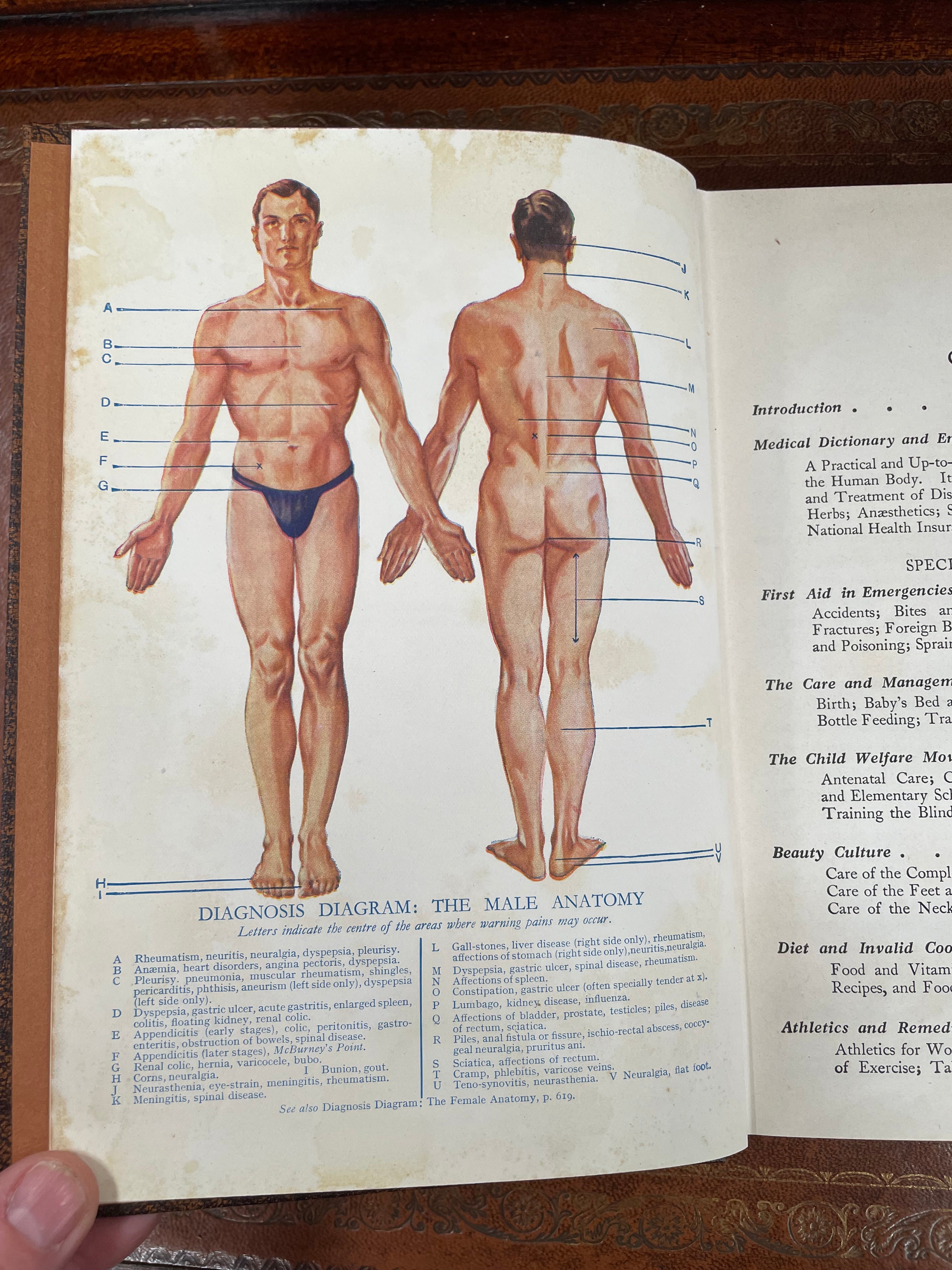"The Universal Home Doctor Book" | Antique & Vintage | Moonee Ponds Antiques | Australia Wide Delivery