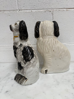 Pair of Victorian Mantle Spaniel Statues | Antique & Vintage | Moonee Ponds Antiques | Australia Wide Delivery