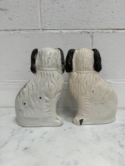 Pair of Victorian Mantle Spaniel Statues | Antique & Vintage | Moonee Ponds Antiques | Australia Wide Delivery
