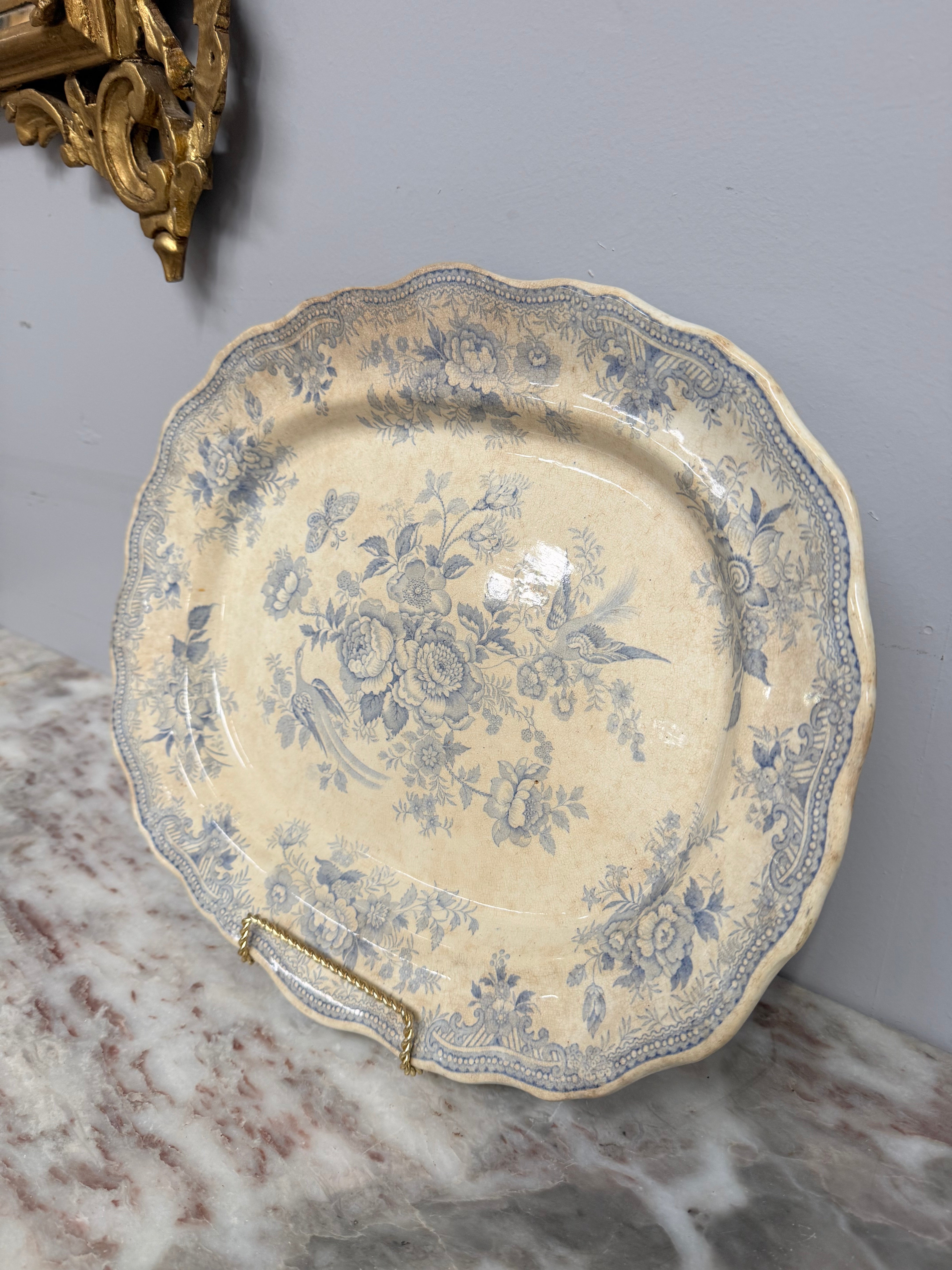 Victorian Asiatic Pheasant Meat Plate | Antique & Vintage | Moonee Ponds Antiques | Australia Wide Delivery