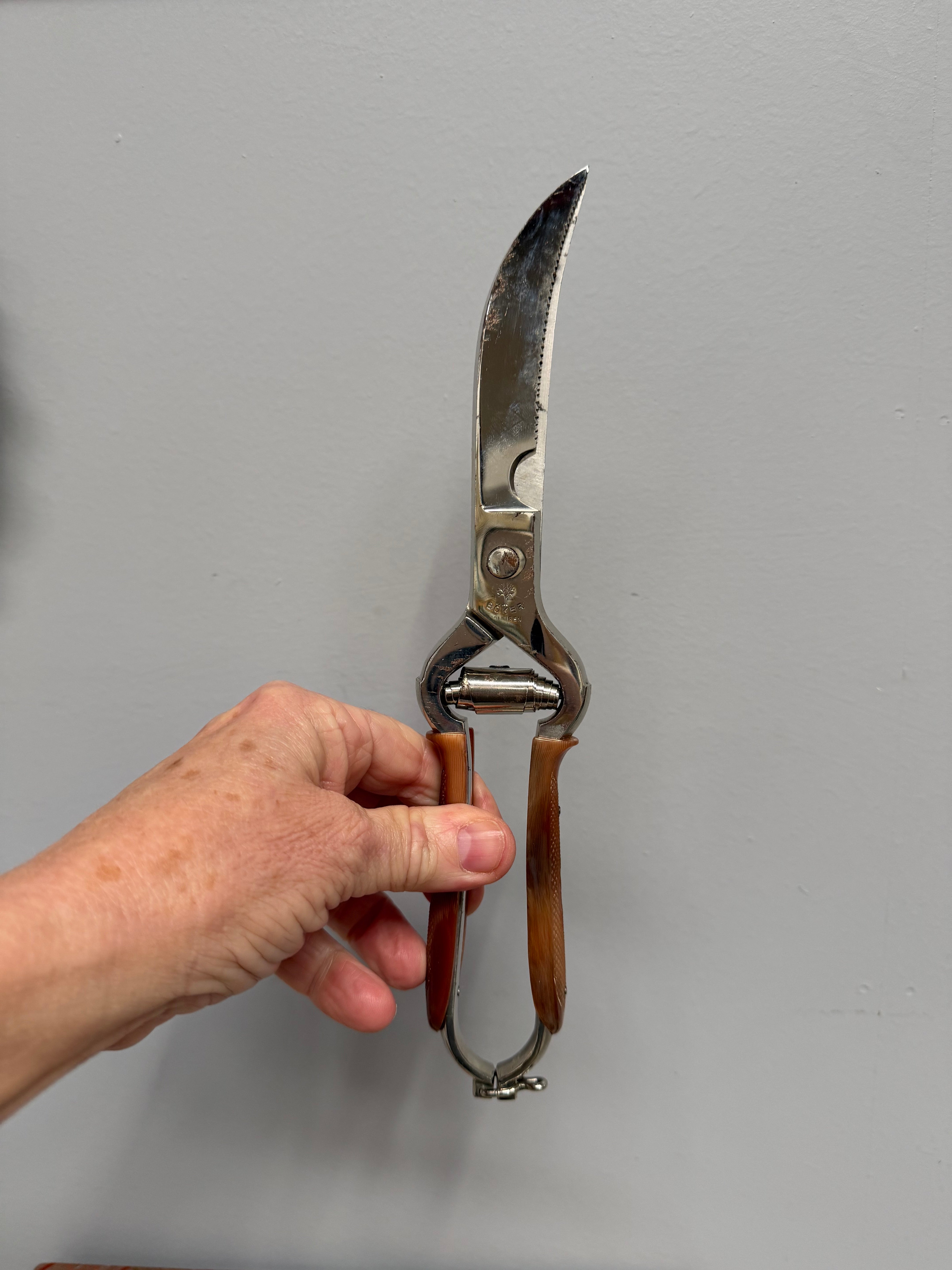 Vintage German "Solingen" Poultry Shears | Antique & Vintage | Moonee Ponds Antiques | Australia Wide Delivery