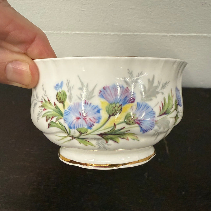 Vintage Paragon Thistles Bone China Bowl