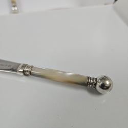 Pair Antique Mother Of Pearl & Silver Plate Butter Knives | Antique & Vintage | Moonee Ponds Antiques | Australia Wide Delivery