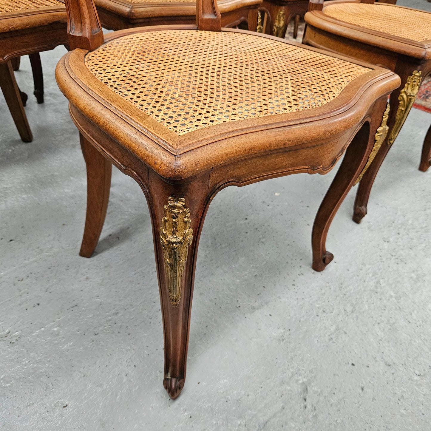 French Louis XV Style Cane/Upholstered Dining Chairs