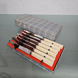 Six Vintage Viner & Hall Sheffield Faux Bone Handled Knives in Original Box