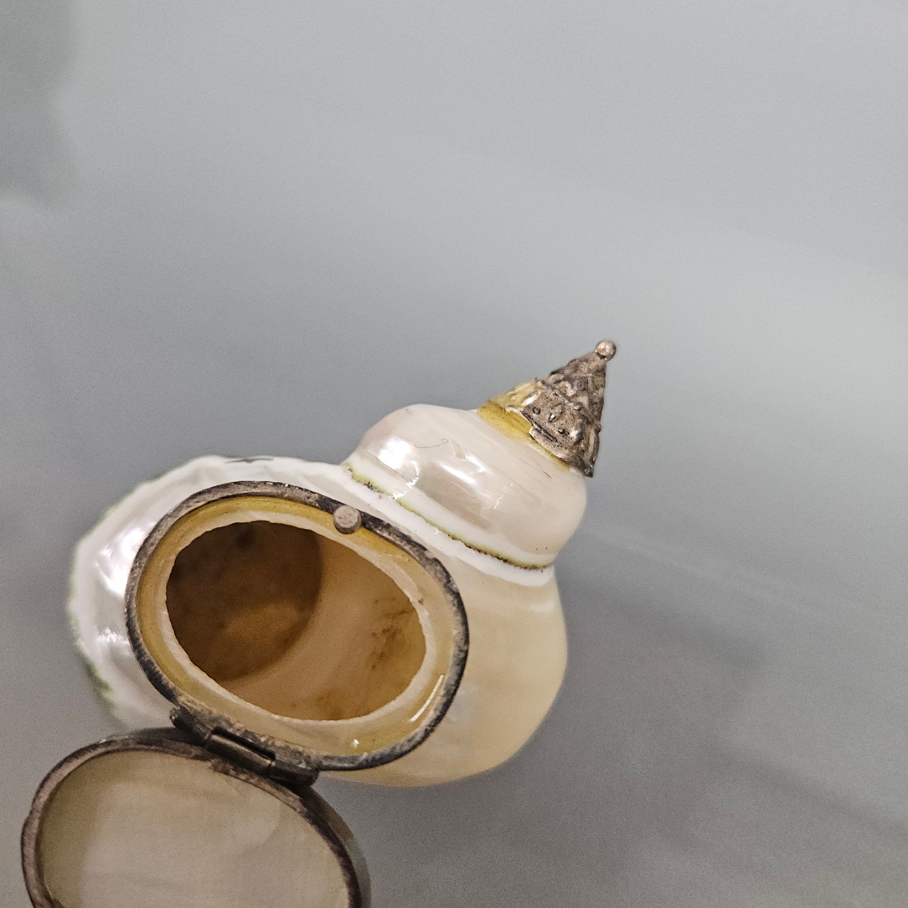 Novelty Silver & Mother Of Pearl Snuff Box | Antique & Vintage | Moonee Ponds Antiques | Australia Wide Delivery