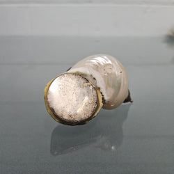 Novelty Silver & Mother Of Pearl Snuff Box | Antique & Vintage | Moonee Ponds Antiques | Australia Wide Delivery