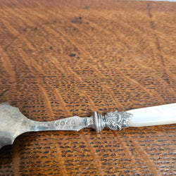 Antique Mother of Pearl & EPNS Silver Serving Spoon | Antique & Vintage | Moonee Ponds Antiques | Australia Wide Delivery