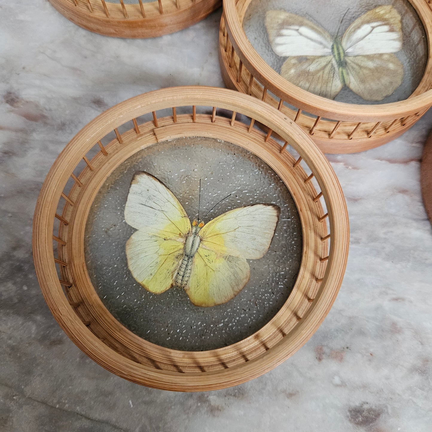 Vintage Set of Six Pressed Butterfly Coasters