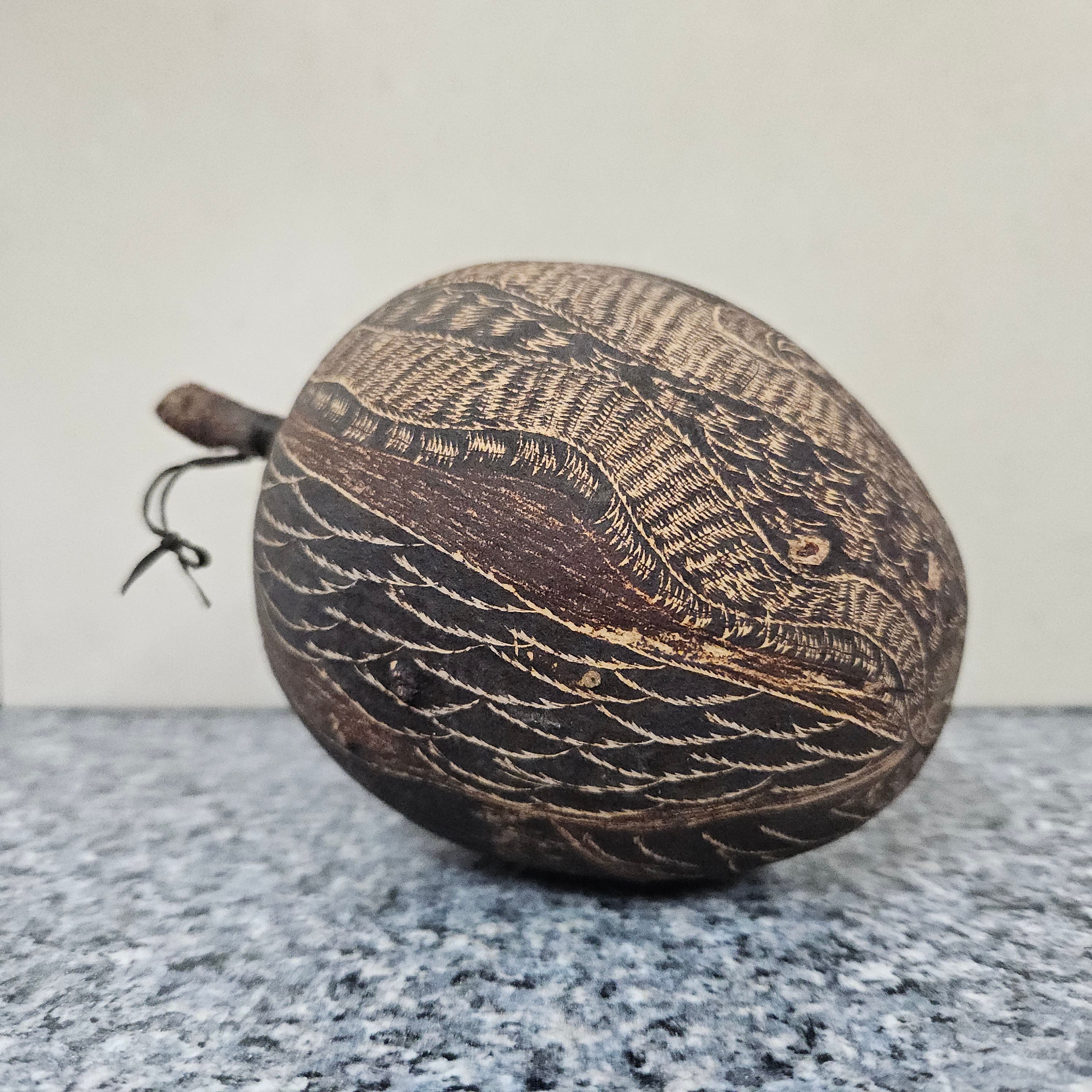 Engraved Boab-Tree Nut 1950's | Antique & Vintage | Moonee Ponds Antiques | Australia Wide Delivery