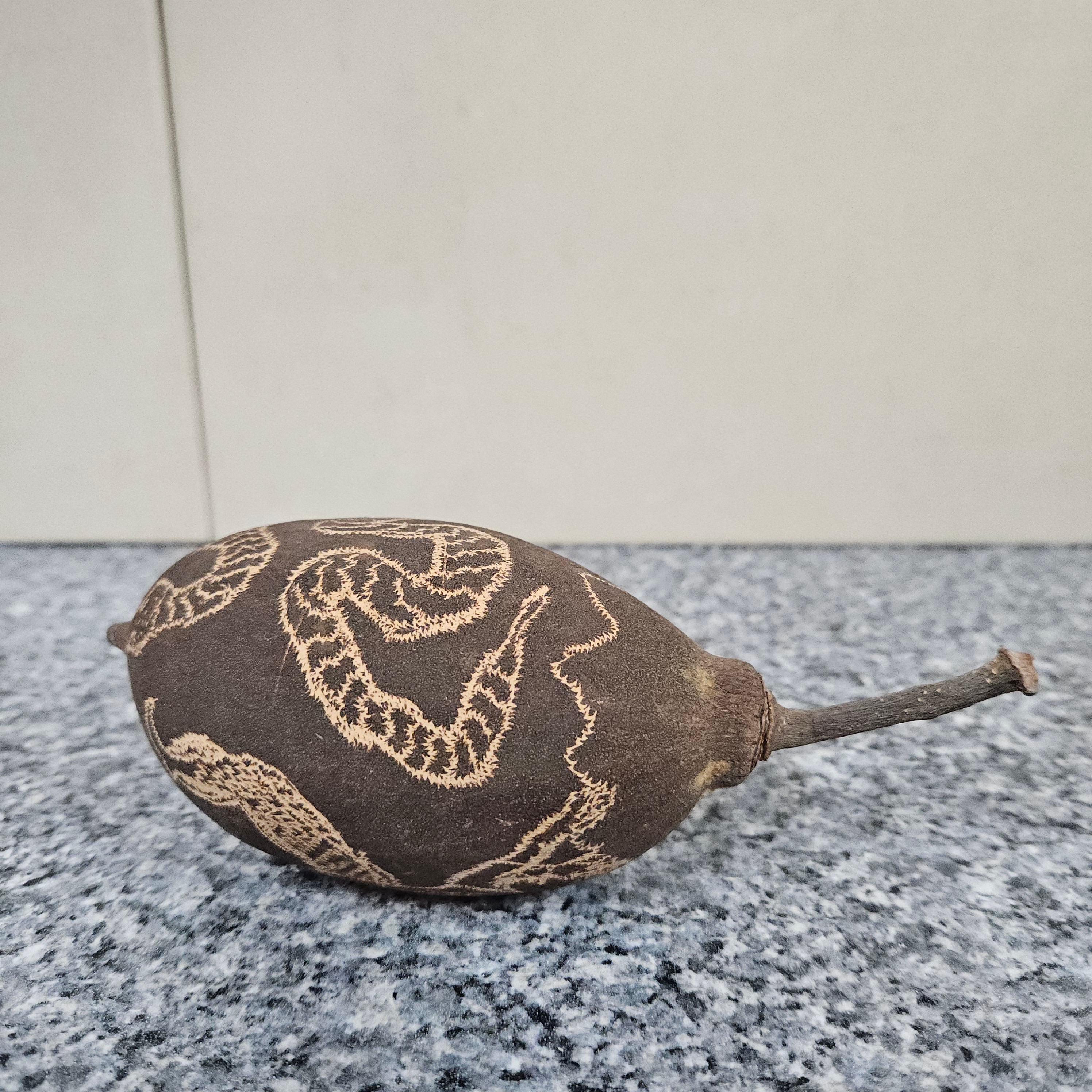 Rare Carved Boab-Treenut | Antique & Vintage | Moonee Ponds Antiques | Australia Wide Delivery