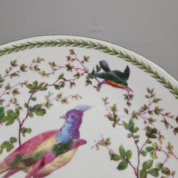 Vintage "Victoria Austria" Bird Plate