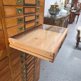 Rare 1920's Huon Pine 40 Drawer Entomology Specimen Cabinet