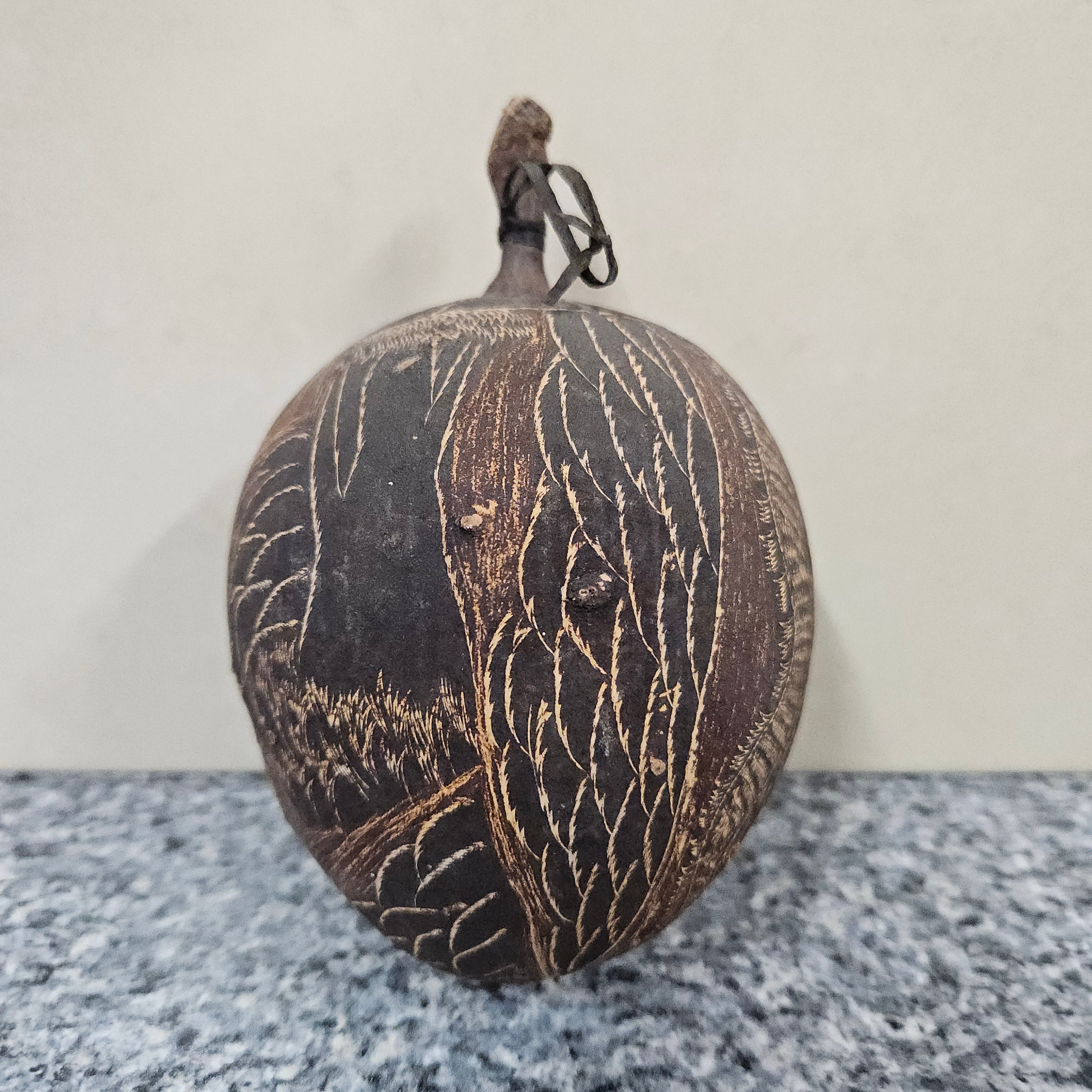 Engraved Boab-Tree Nut 1950's | Antique & Vintage | Moonee Ponds Antiques | Australia Wide Delivery