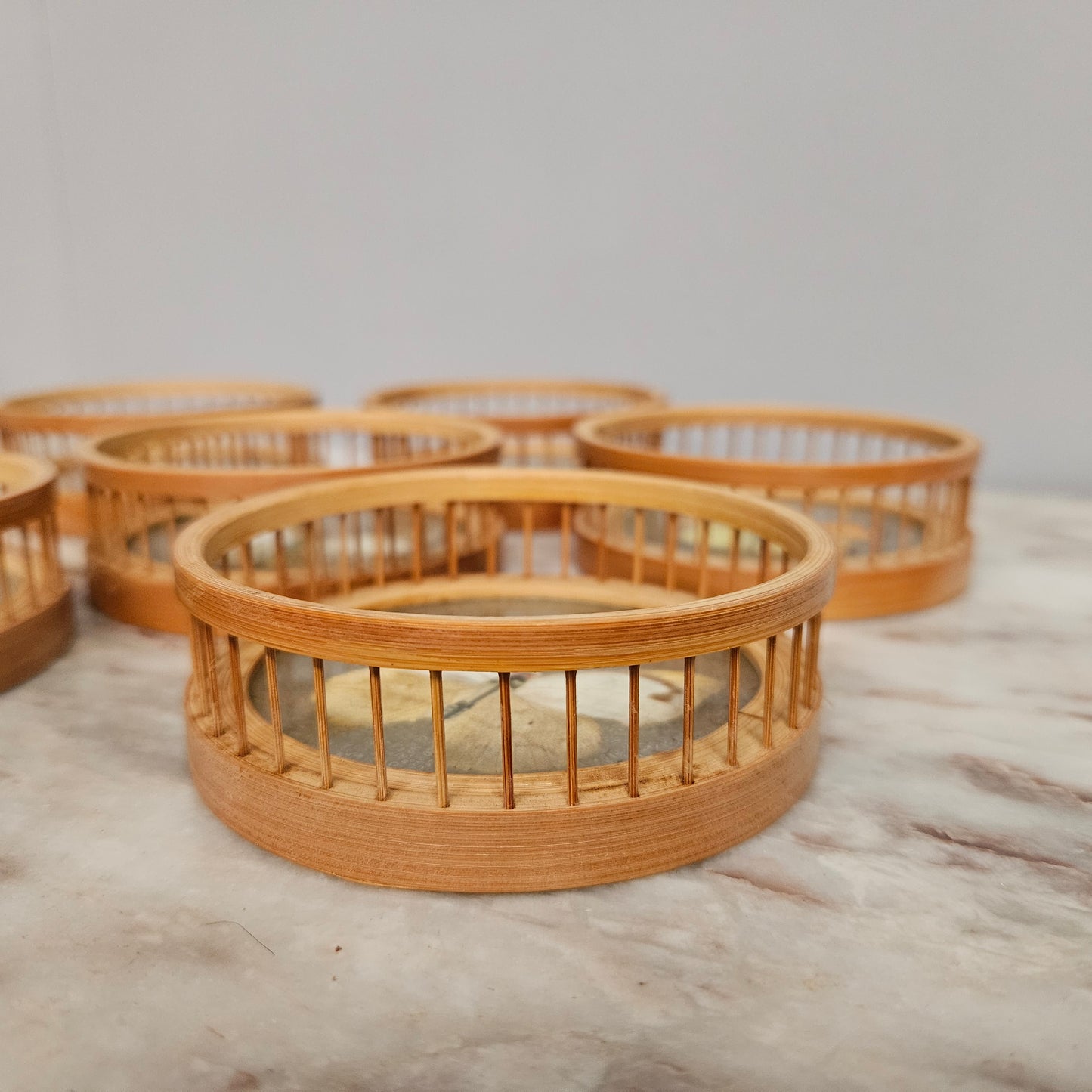 Vintage Set of Six Pressed Butterfly Coasters