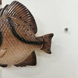 Vintage Fish Hanging Wall Plaque