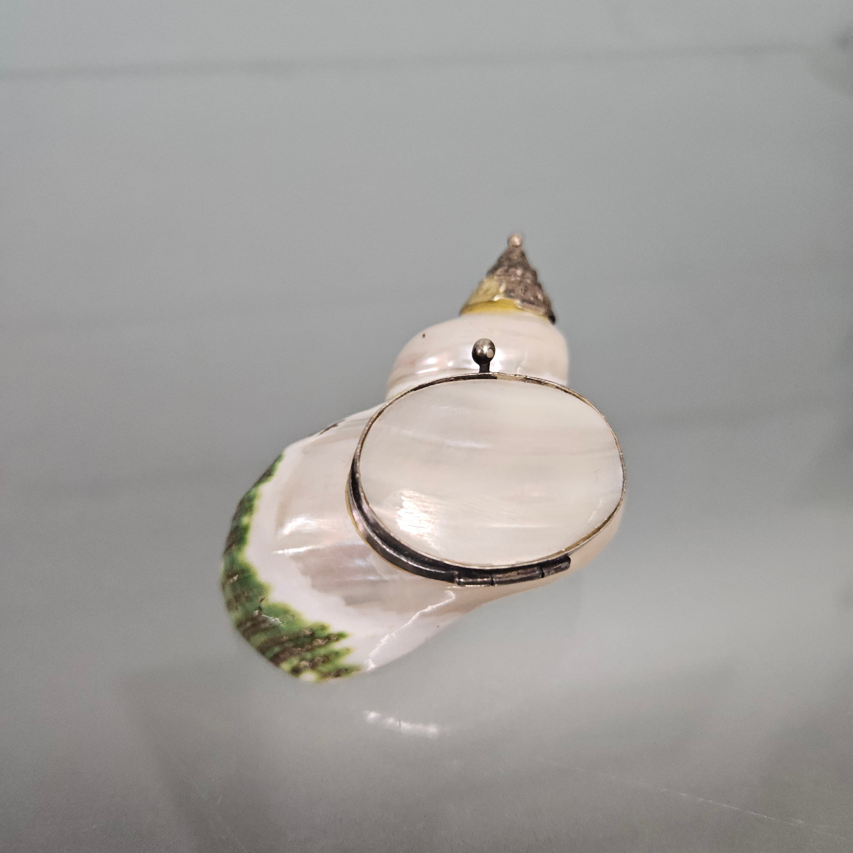 Novelty Silver & Mother Of Pearl Snuff Box | Antique & Vintage | Moonee Ponds Antiques | Australia Wide Delivery