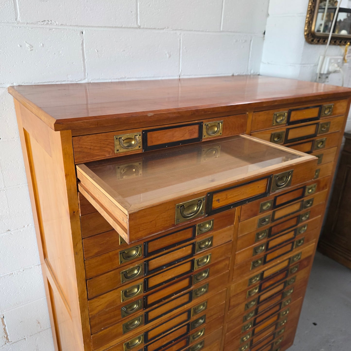 Rare 1920's Huon Pine 40 Drawer Entomology Specimen Cabinet