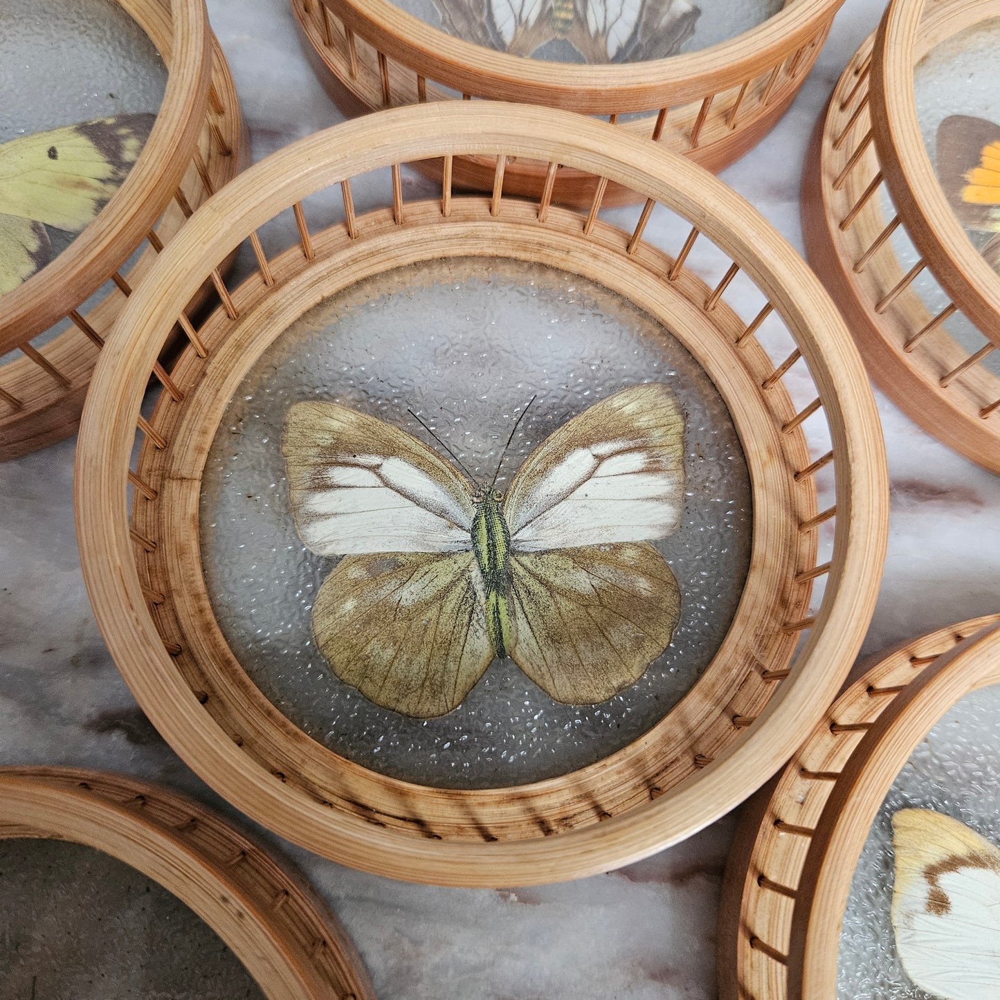 Vintage Set of Six Pressed Butterfly Coasters